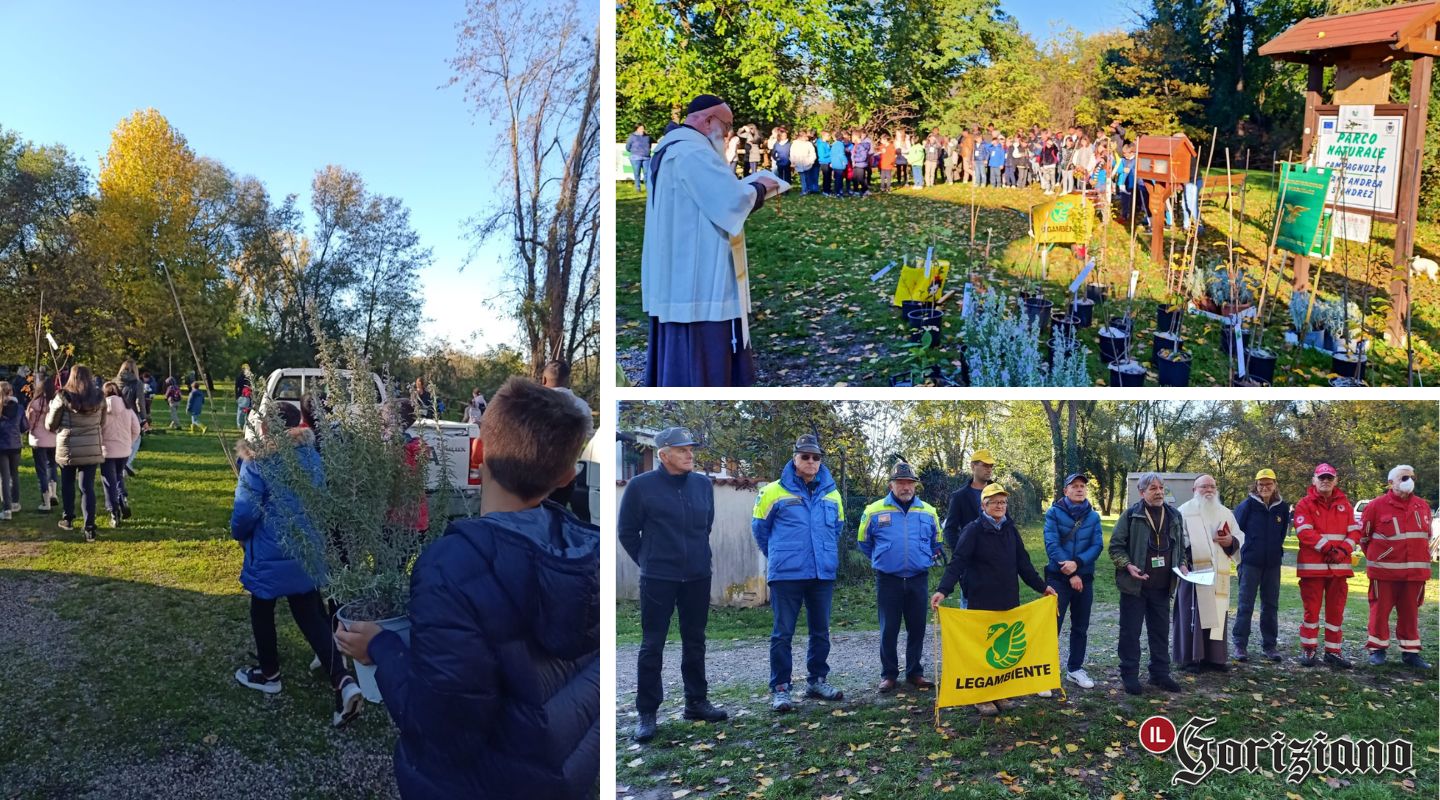 Immagine per Gorizia, 50 studenti piantano alberelli nel parco di Campagnuzza